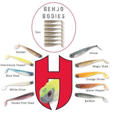 Benjo Bodies 